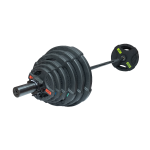 Штанга олимпийская 128 кг (диски с двумя хватами, черный гриф) OriginalFittools